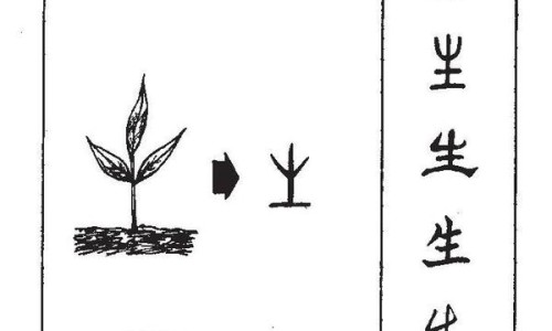 德众鼻炎康片96片装多少钱-鼻炎片德众牌说明书网 | 德众鼻炎片的副作用,德众鼻炎康片96片装多少钱