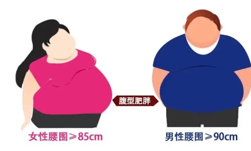 德众牌鼻炎康片说明书-鼻炎片德众牌说明书网 | 德众鼻炎片的副作用,德众鼻炎康片96片装多少钱
